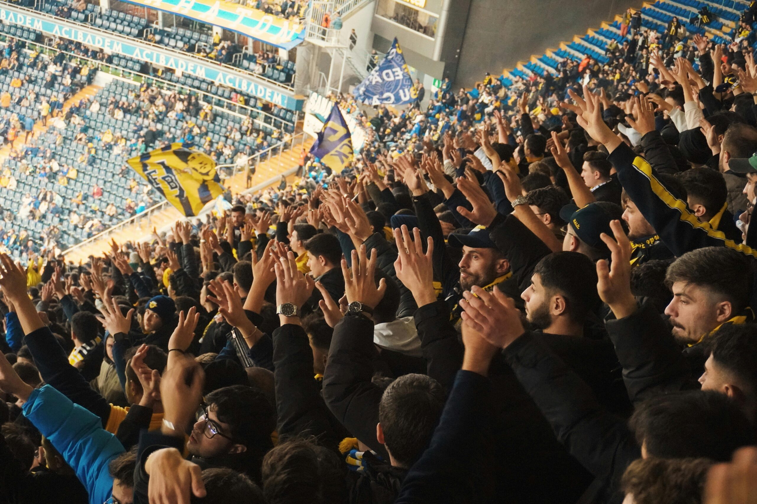 Cheering fans at a sports event